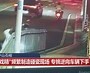 守护和平使命：成为宠物守护者