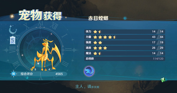 扬帆远航，寻找魔力宝贝的秘密宝藏！的简单介绍