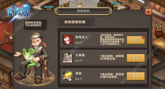 关于再度实现宠物收集梦，魔力宝贝私服倾情推出的信息