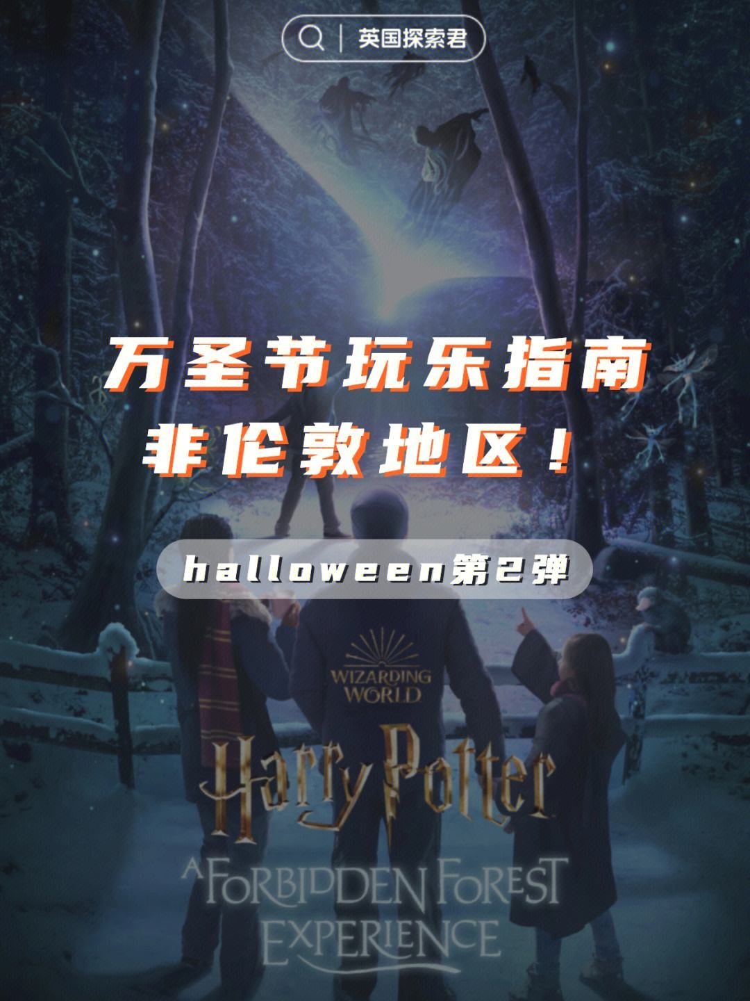 关于闯入迷离魔法森林：与魔力宝贝的深度亲密接触的信息