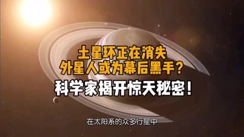 包含揭开魔力秘密：科学家开启新篇章的词条