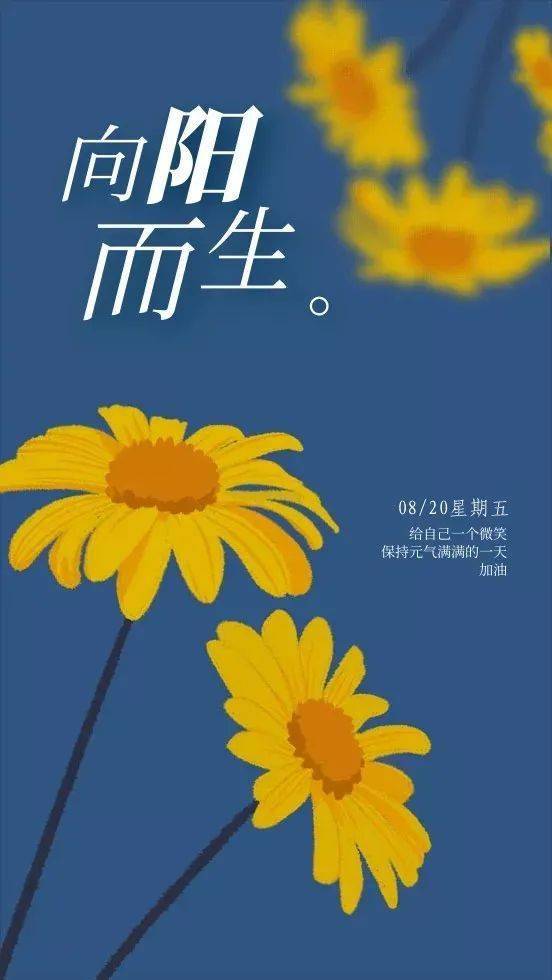 超越现实：魔力SF带来新的人生体验