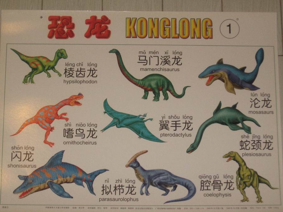 宝贝图鉴大解析：探秘每个宝贝的独特魅力！