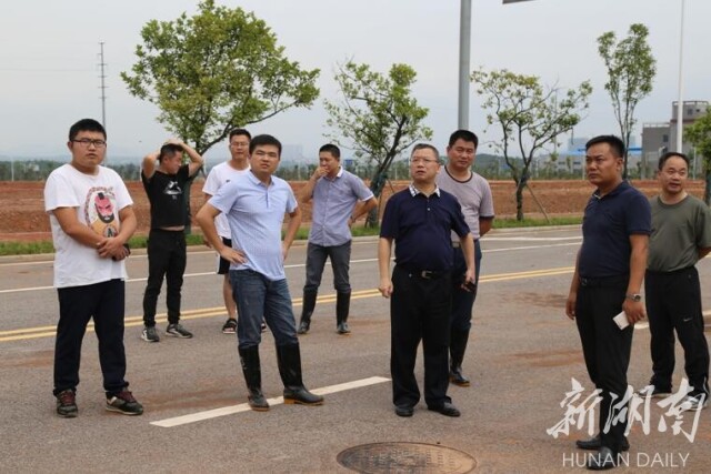 维护和平王国：与宠物团队共同捍卫安宁