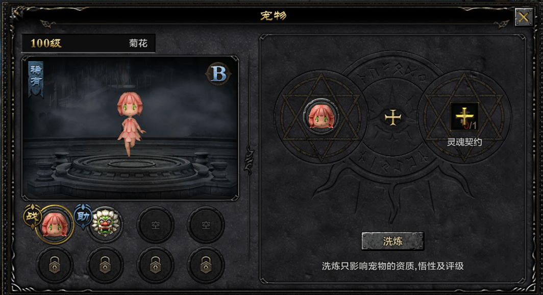 提升宠物实力：培养神奇力量