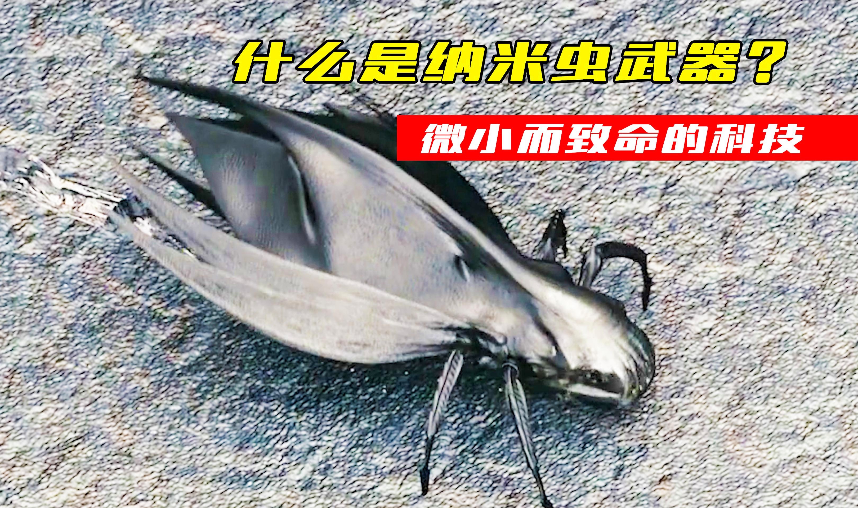 最致命的武器：毁灭之锤的奥秘