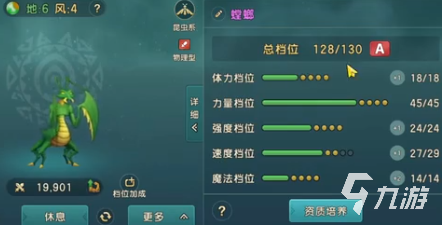 培养强力技能：提升宠物实力，展现魔力
