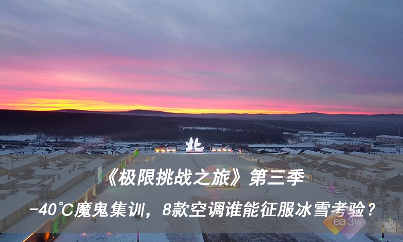 宠物训练大赛：征服挑战登上巅峰
