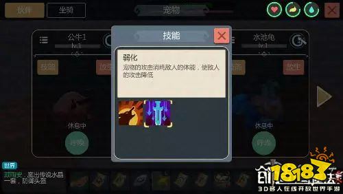 提升宠物技能：培养神奇力量