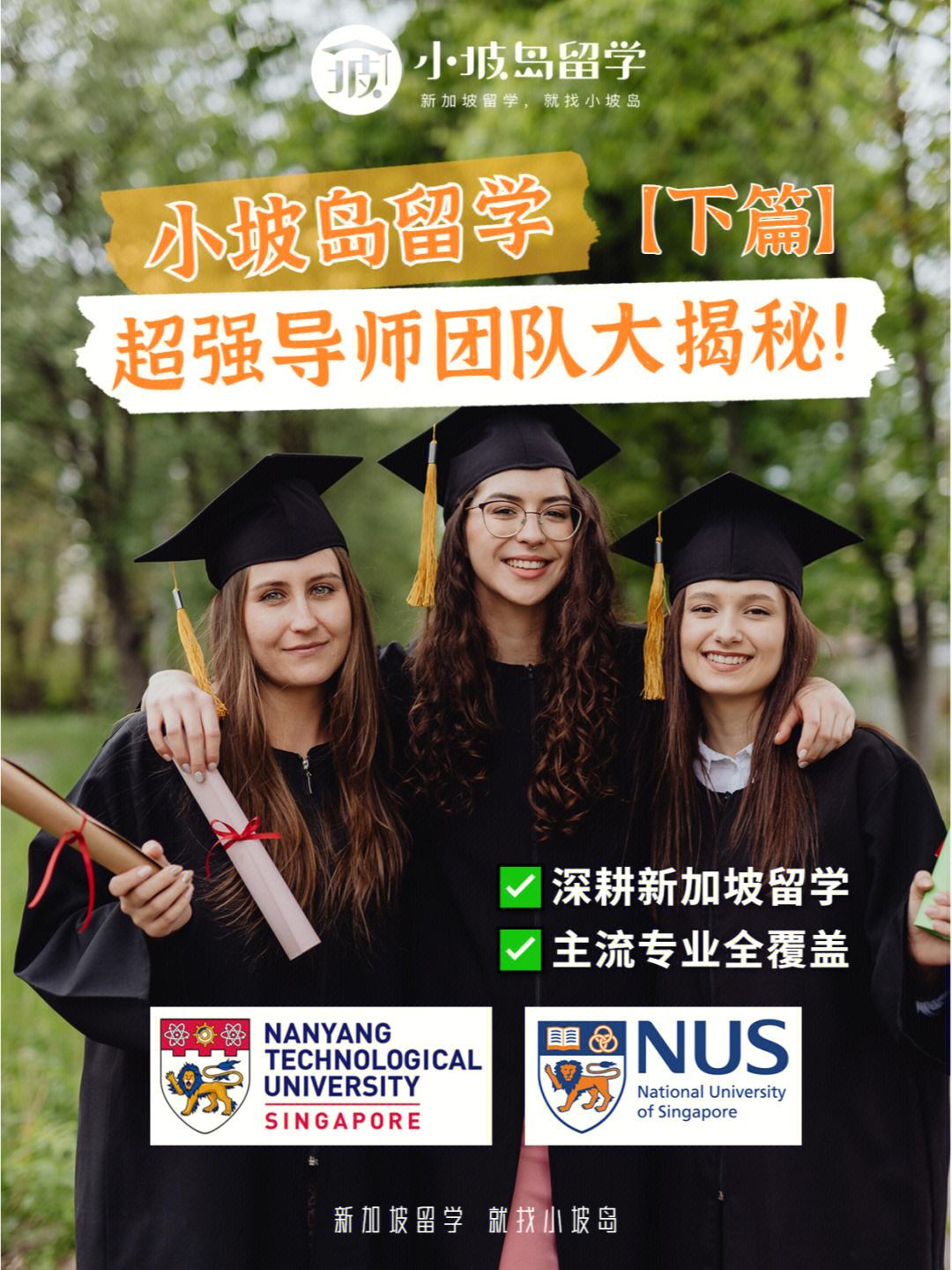 构建超强团队，征服魔法大陆