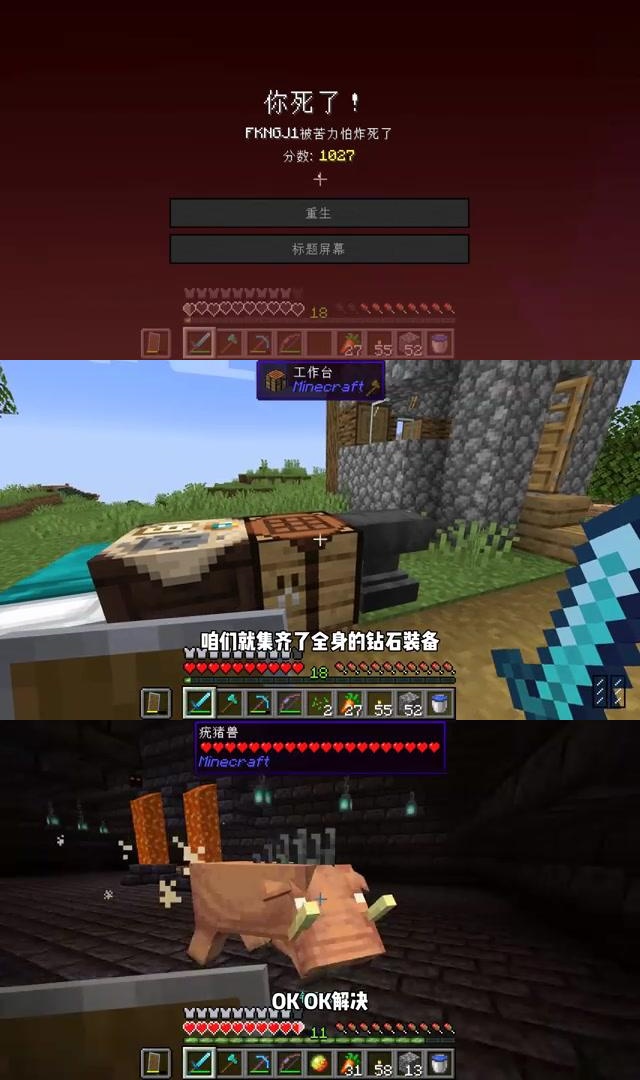 培养超凡技巧：提升宠物实力战胜强敌