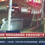 守护和平使命：成为宠物守护者