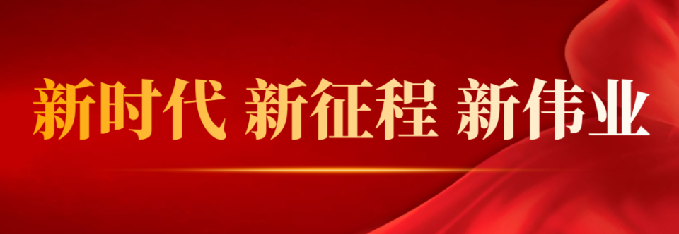 魔力宝贝宠物算档器更新预告：即将推出的新功能，敬请期待！