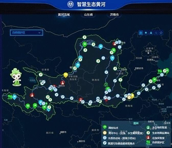 制定智慧战略取得胜利：智勇双全称霸竞技场