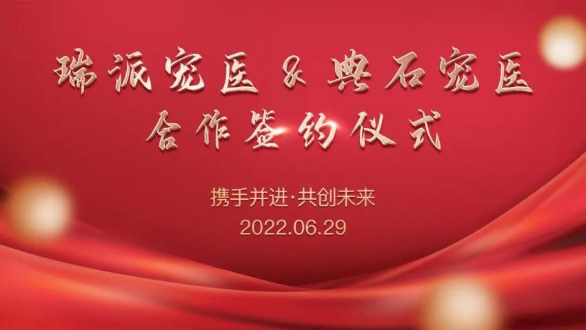 合作共赢：打造最强宠物阵容战胜所有困难