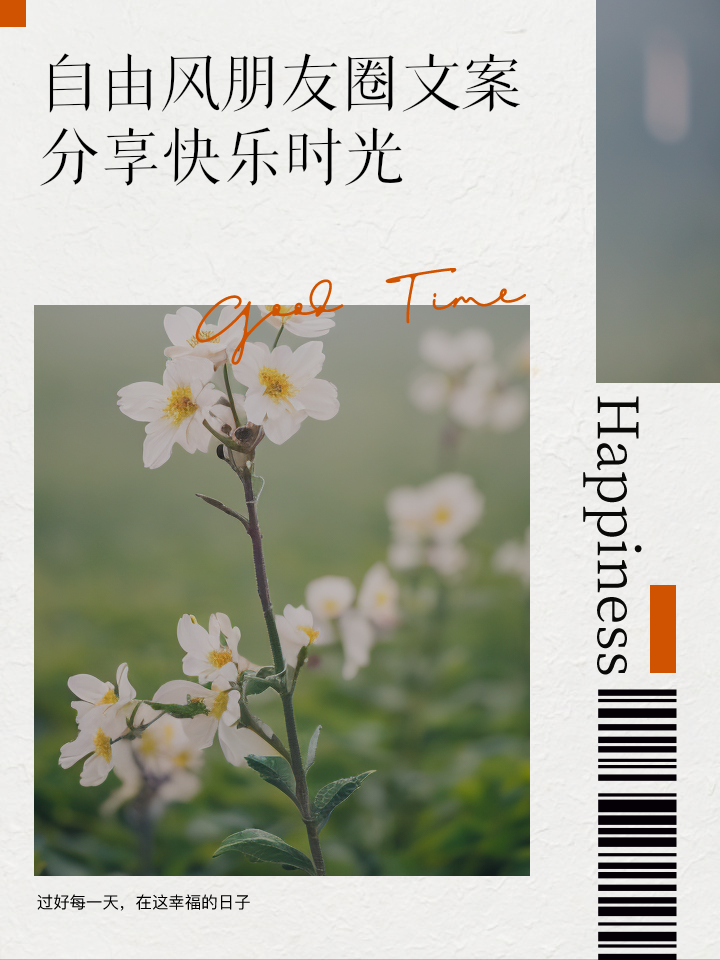策划精彩活动：互动欢乐，共享快乐时光
